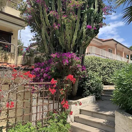 Il Porto * Porto Azzurro